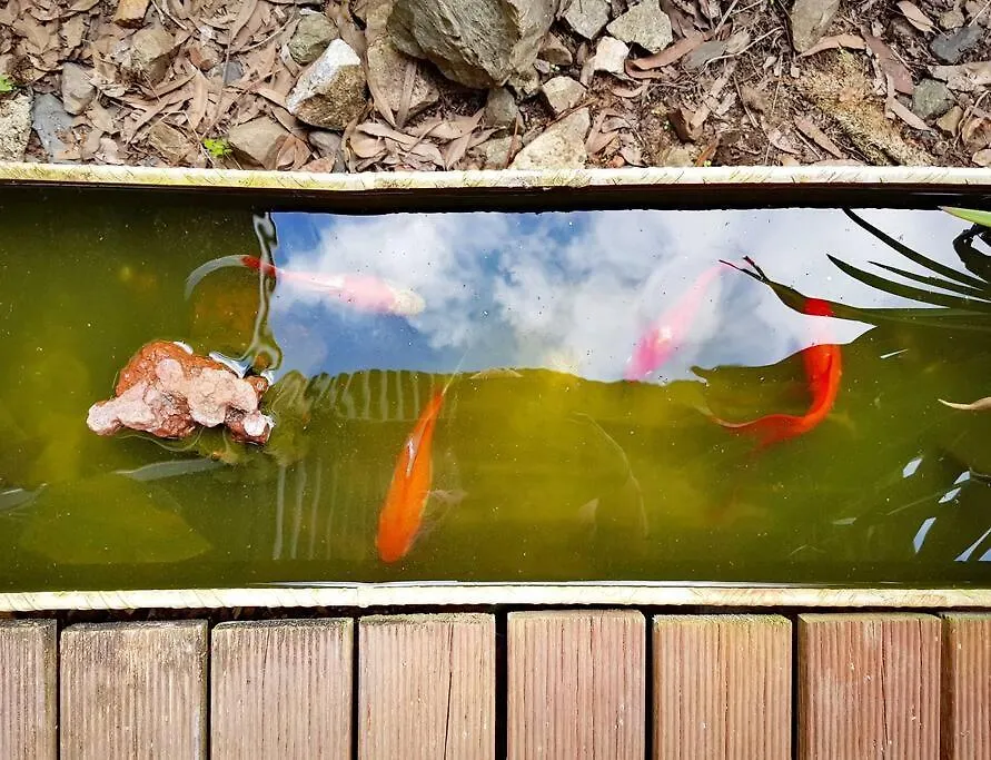 The Sanctuary Millstream Apartment Ravenshoe